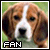 Beagle-k